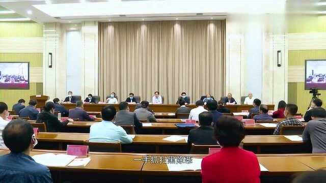 新乡市召开扫黑除恶专项斗争推进会