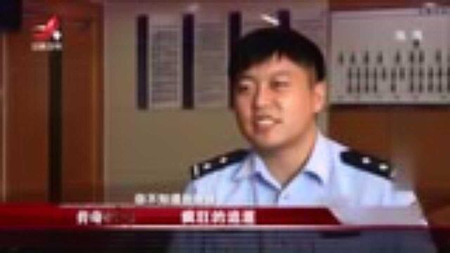 两车相撞引事故,肇事司机车速极快不是醉驾,同乘两人竟是陌生人