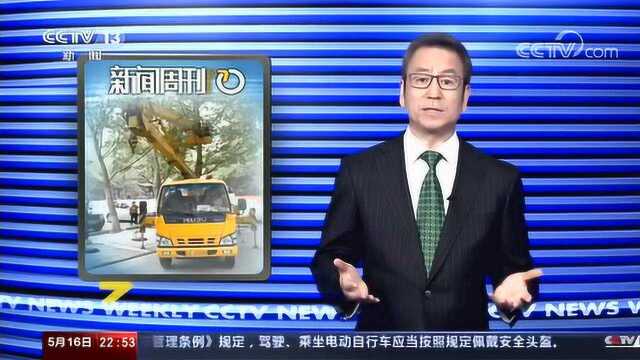 白岩松:这鸟粪是落在了谁的车上,引发了这么大动静?