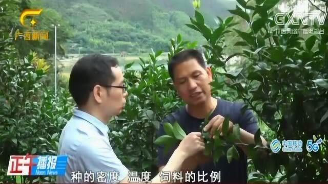 潘文道:玉林农业如何绿色高质量发展