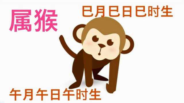 巳月巳日巳时出生,属猴人,一生靠自己