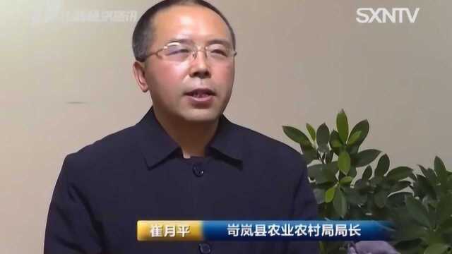 岢岚:加大招商引资力度,助力乡村振兴