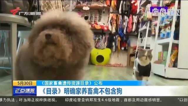 《国家畜禽遗传资源目录》公布,明确家养畜禽不包括狗