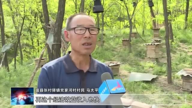 “蜂味”张村驿:“甜蜜事业”进行时