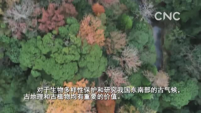 “云游”30秒——福建将乐龙栖山自然保护区