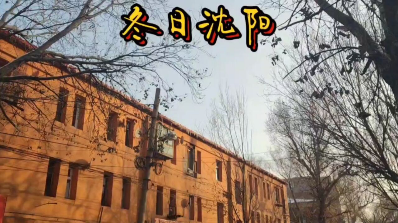 随手一拍皆是风景,这里有很多的老建筑,就在你身边