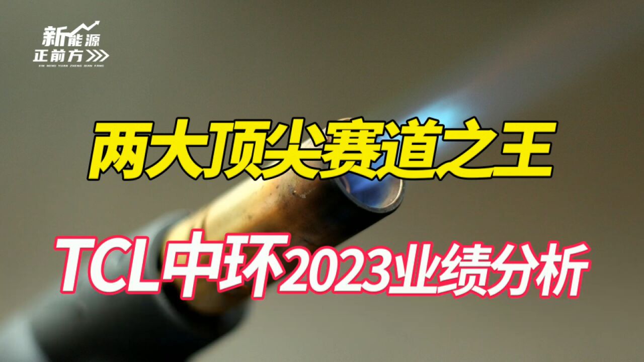 光伏渡劫,两大顶尖赛道之王,短期业绩波折,不改长期成长本色