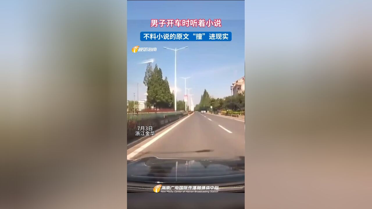 男子开车时听着小说 不料小说的原文“撞”进现实