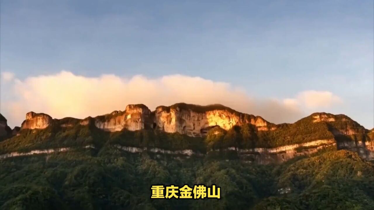 重庆金佛山:勇攀云端,尽享山川之美!