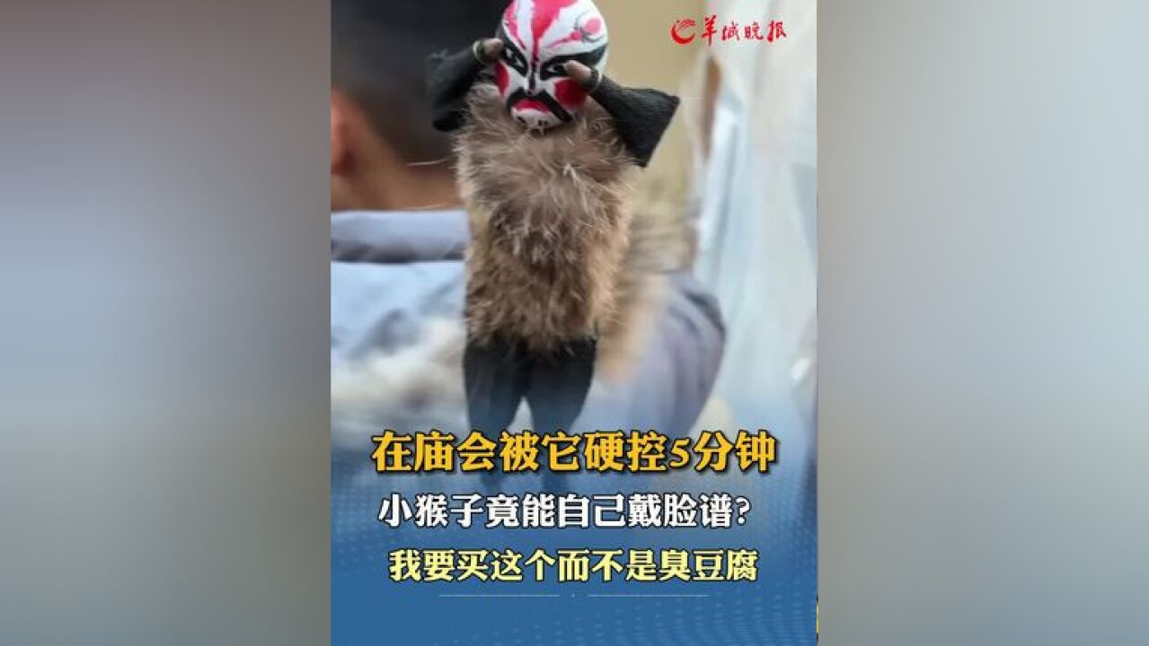 在庙会被它硬控 5 分钟,小猴子竟能自己戴脸谱?我要在庙会买这个而不是臭豆腐