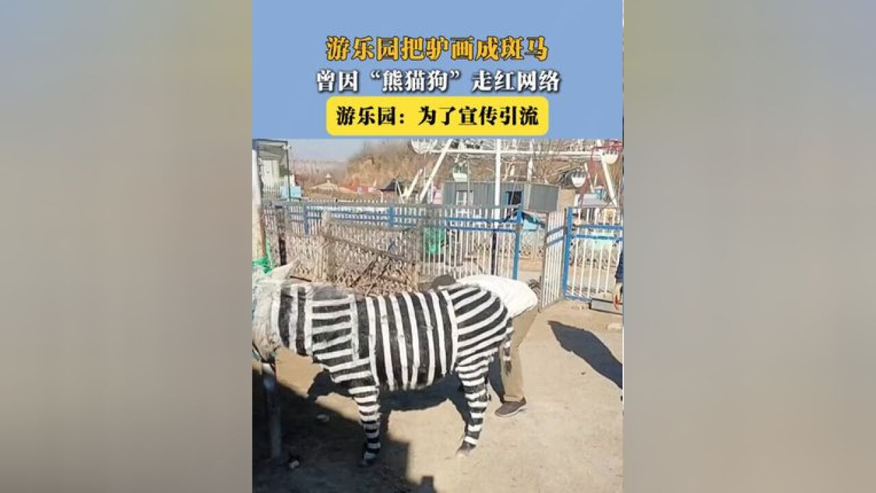 游乐园把驴画成斑马 曾因“熊猫狗”走红网络 游乐园:为了宣传引流