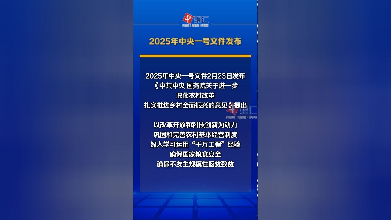 2025年中央一号文件发布