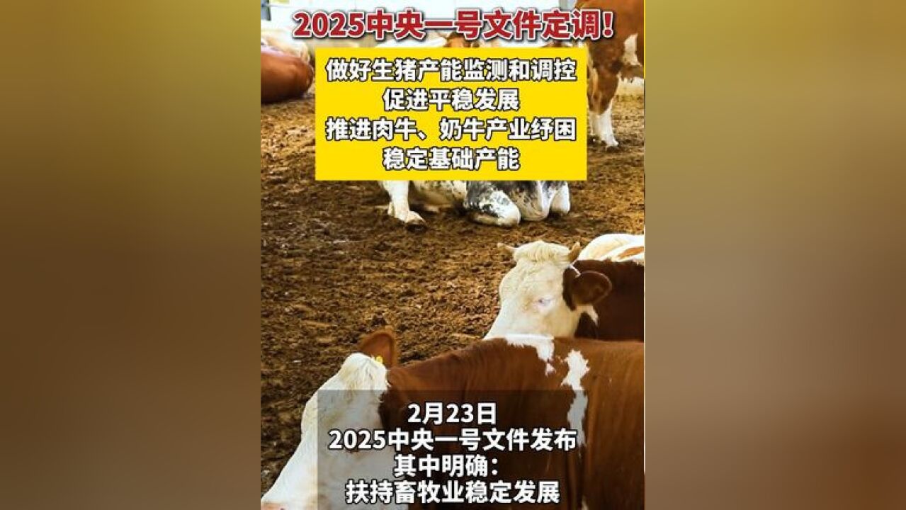 2025中央一号文件定调:做好生猪产能监测和调控,促进平稳发展,推进肉牛、奶牛产业纾困,稳定基础产能