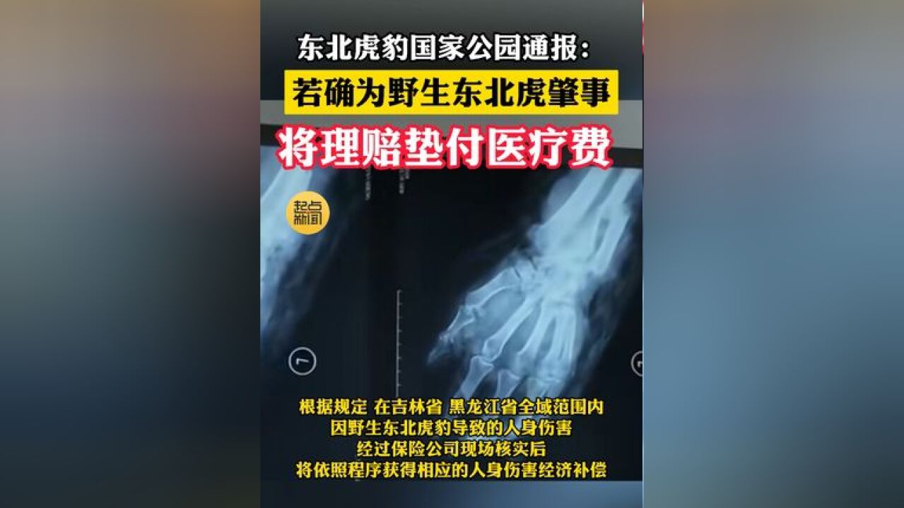 东北虎豹国家公园通报:若确为野生东北虎肇事,将理赔垫付医疗费