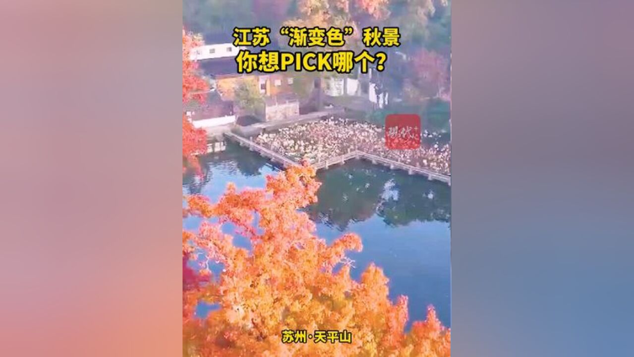 江苏“渐变色”秋景,你pick哪一个?