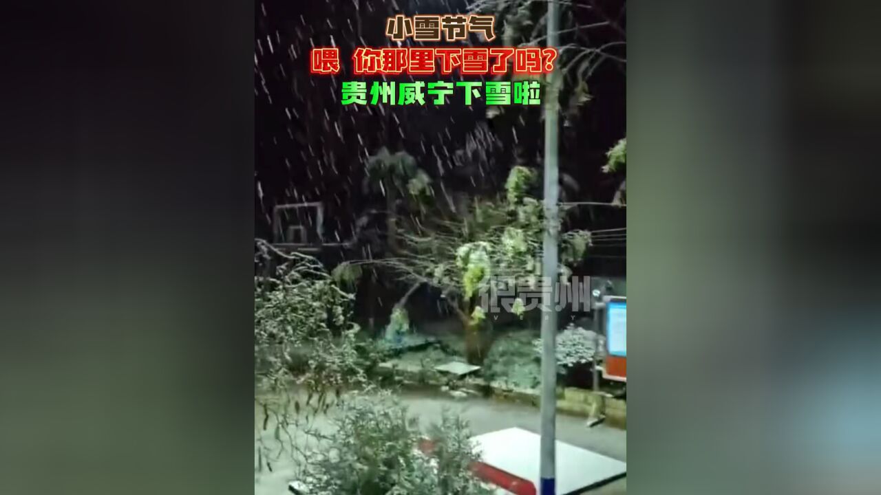 今日小雪,贵州威宁真的下雪了 来源:王近松