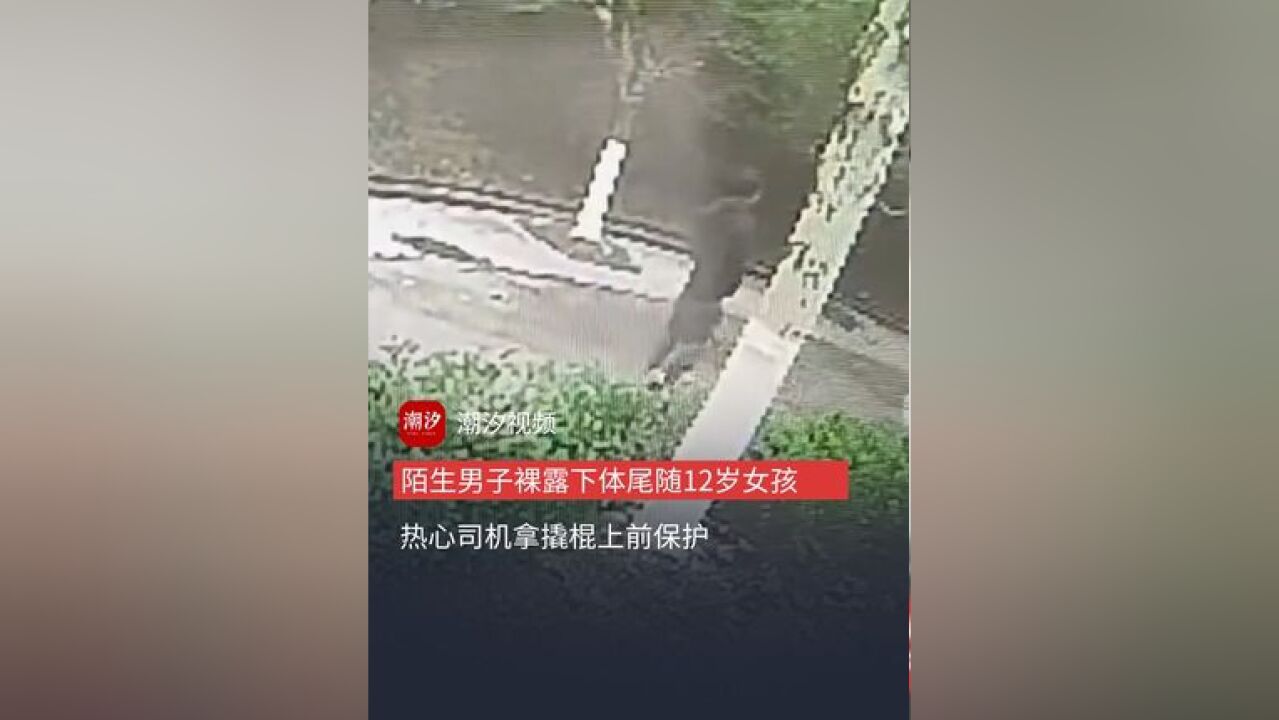 陌生男子裸露下体尾随12岁女孩,热心司机大哥拿撬棍冲上前吓走男子,把小女孩安全带回车上.