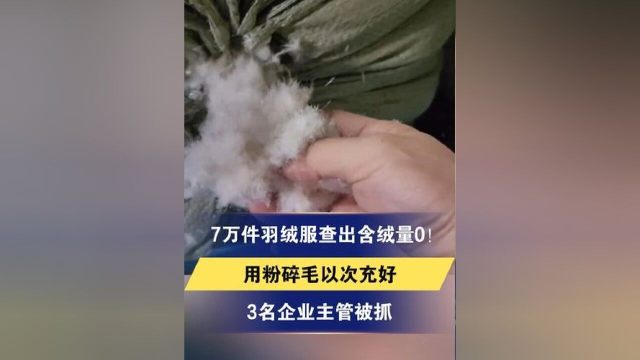 7万件羽绒服查出含绒量0!用粉碎毛以次充好 3名企业主管被抓