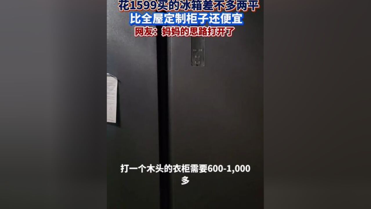 妈妈给孩子买冰箱当书柜,空间大,价格比全屋定制柜子便宜,网友:妈妈的思路打开了,但是谁能告诉我一级能效在这里起什么作用?