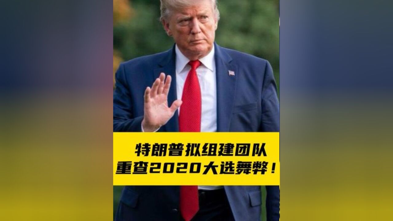 特朗普拟组建团队重查2020大选舞弊