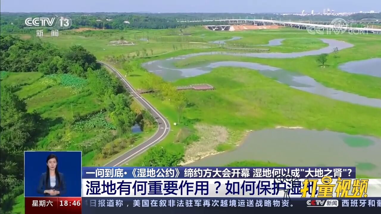 湿地有何重要作用?我们应如何保护湿地?权威解答来了