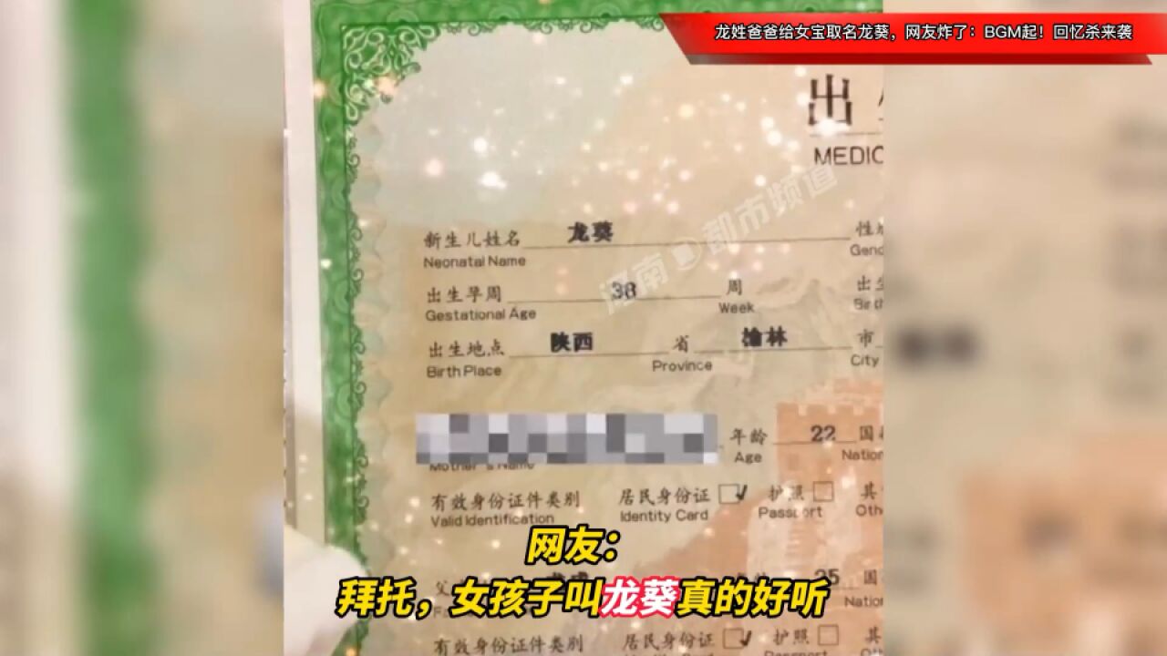 龙姓爸爸给女宝取名龙葵,网友炸了:BGM起!回忆杀来袭