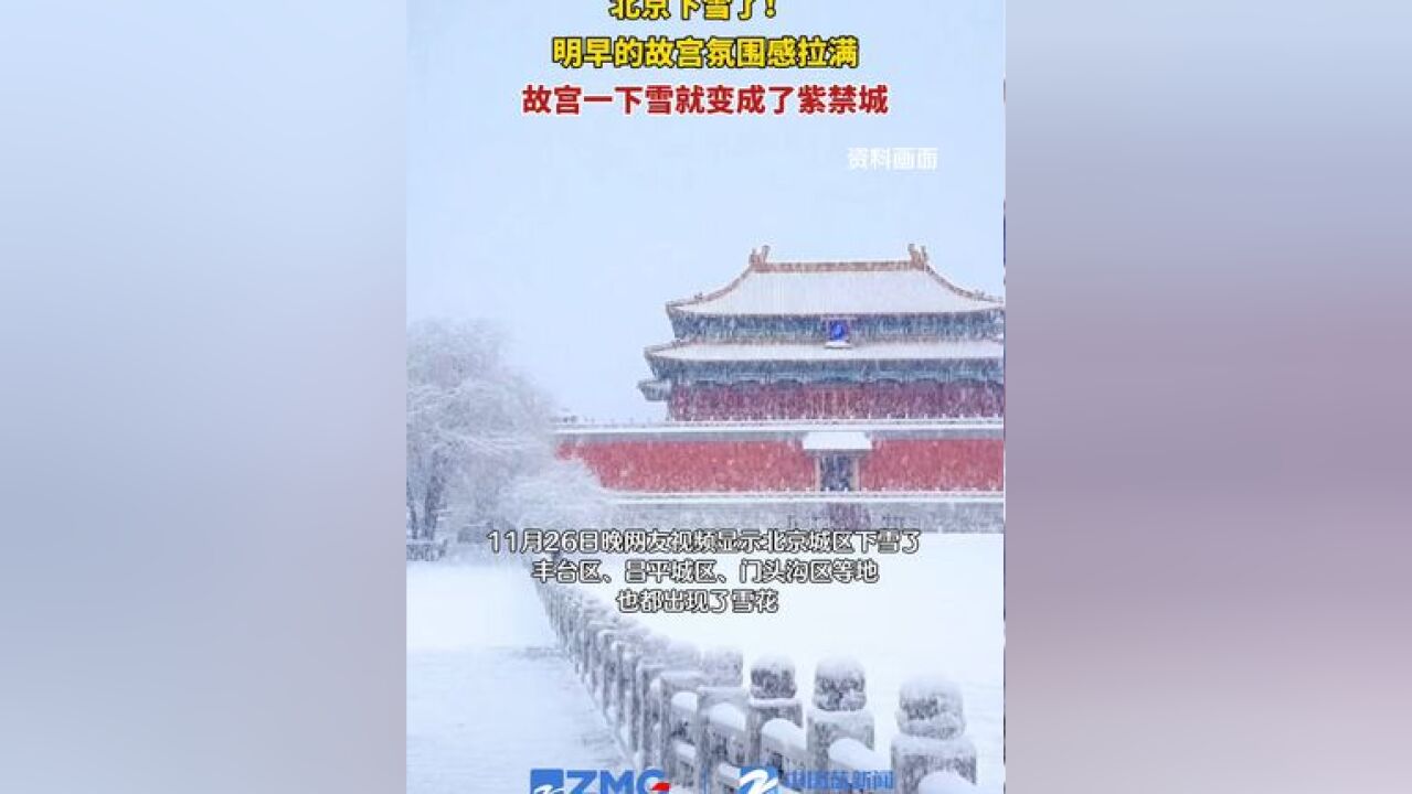 北京下雪了! 明早的故宫氛围感拉满,故宫一下雪就变成了紫禁城