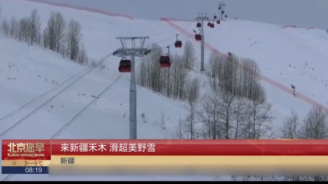 来新疆禾木,滑超美野雪