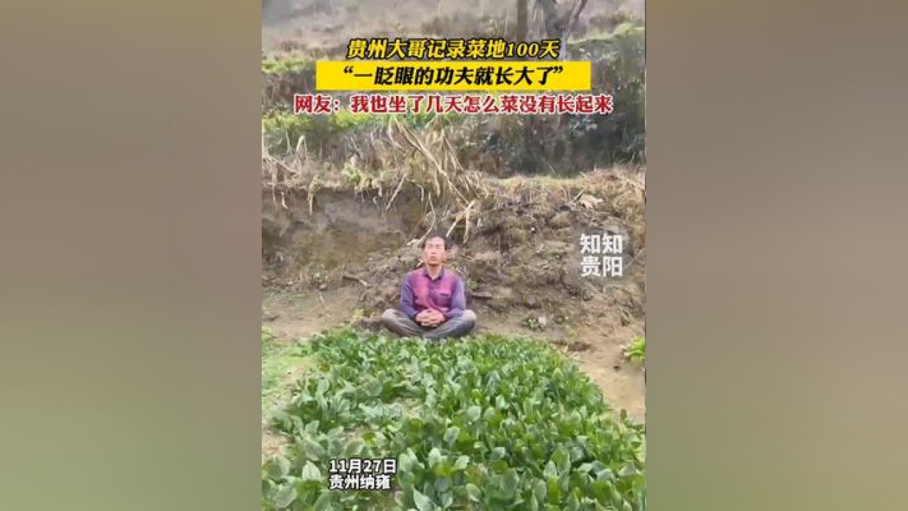 贵州大哥记录菜地100天,“一眨眼的功夫就长大了”,网友:我也坐了几天怎么菜没有长起来