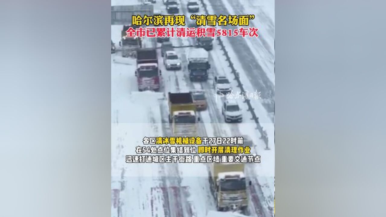 哈尔滨再现“清雪名场面”,全市已累计清运积雪5815余车次