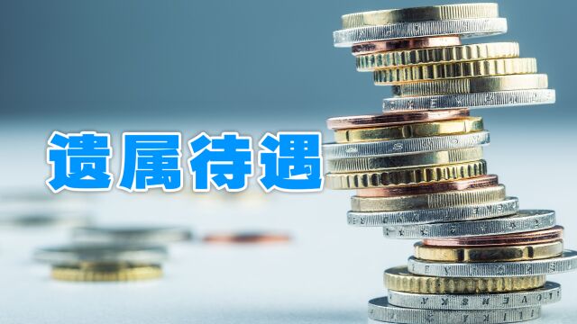 退休人员离世后,其遗属可依法享受这些待遇,你都了解吗?