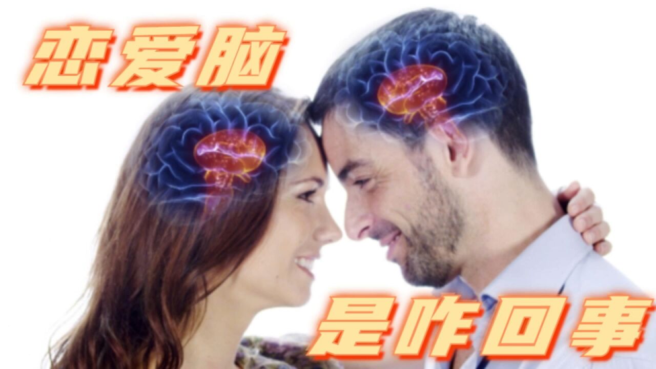 为什么会有恋爱脑?因为恋爱会改变大脑结构