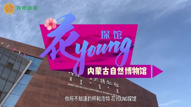 花Young探馆,打卡内蒙古自然博物馆