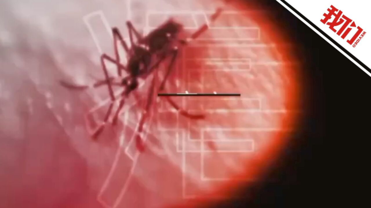 病毒学专家解析疟疾:主要是境外输入致死率很低 夏季到野外需做好防护