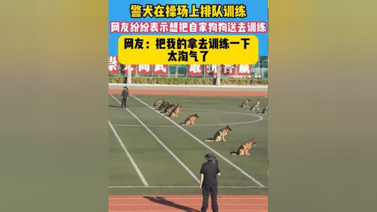 警犬在操场上排队训练,没想到网友破防了