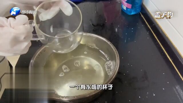 喝剩的啤酒别轻易扔掉!啤酒还有这些生活妙用,你都知道吗?