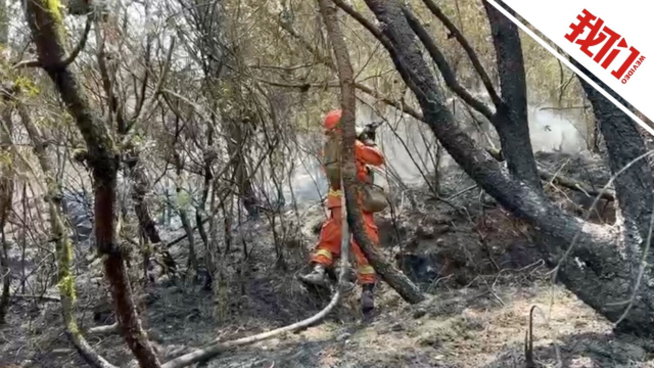 探访云南玉溪山火东北线:救援路线坡度约60度 火曾烧至树冠处