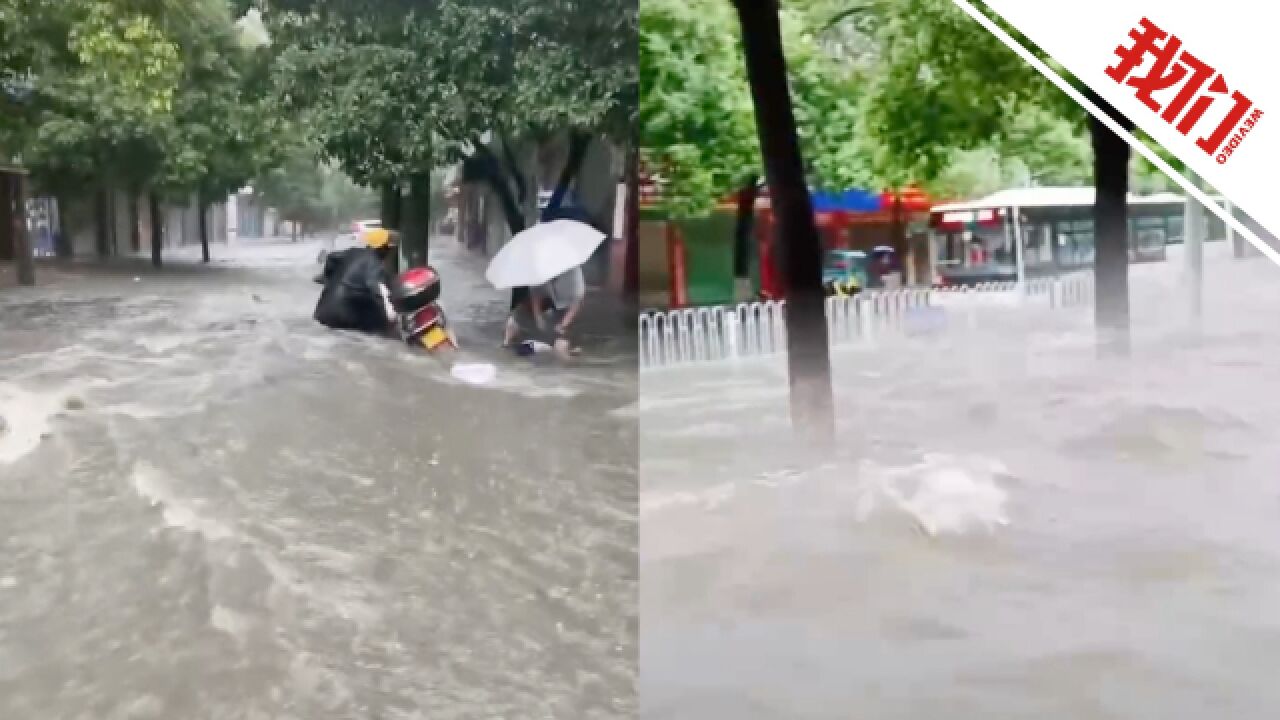 湖南永州暴雨街道内涝:有树木倾倒砸中车辆 鱼塘的鱼被冲到街上