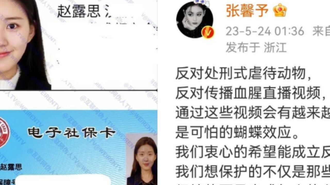 金星张馨予赵露思谴责虐待动物者却遭曝光个人信息 律师发声