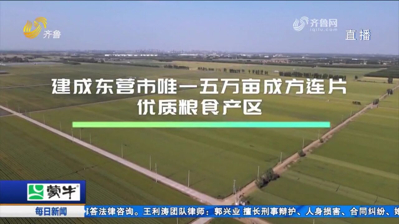 建设智慧农场、打造粮食集散周转中心,看乡村振兴的“李鹊”样板