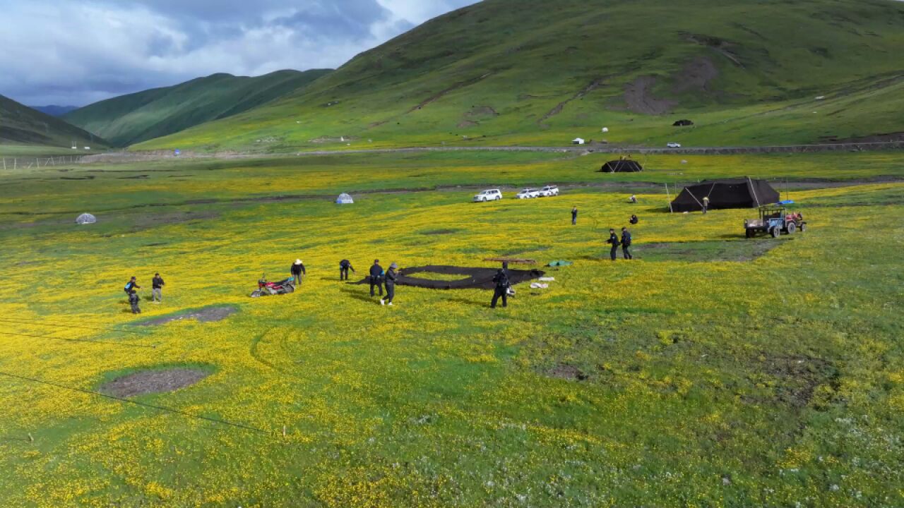 云端花海中的黑帐篷,偶遇最美警民情