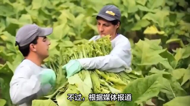 数字化转型大潮下,烟草行业面临转型