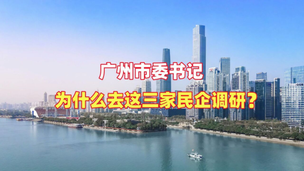 广州市委书记为什么去这三家民企调研?