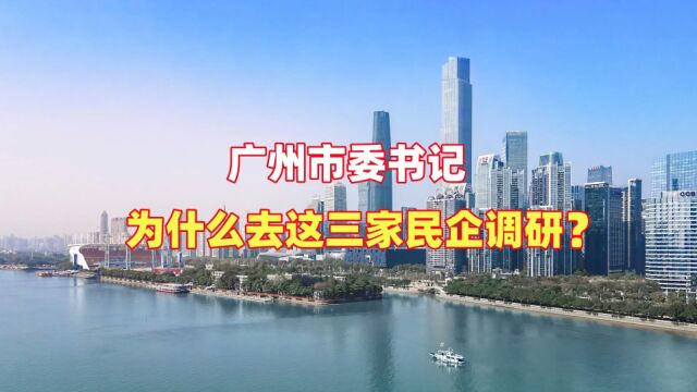 广州市委书记为什么去这三家民企调研?