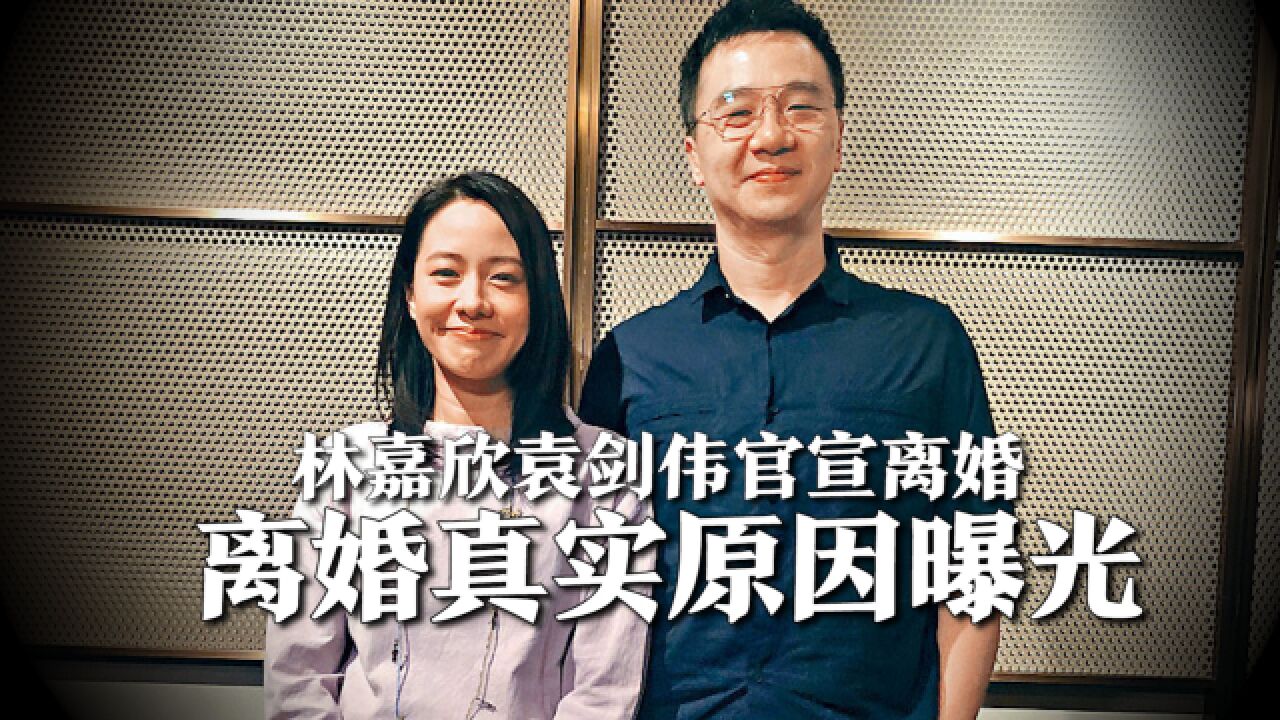 林嘉欣与袁剑伟官宣离婚,两人将会同抚育女儿,离婚真实原因曝光