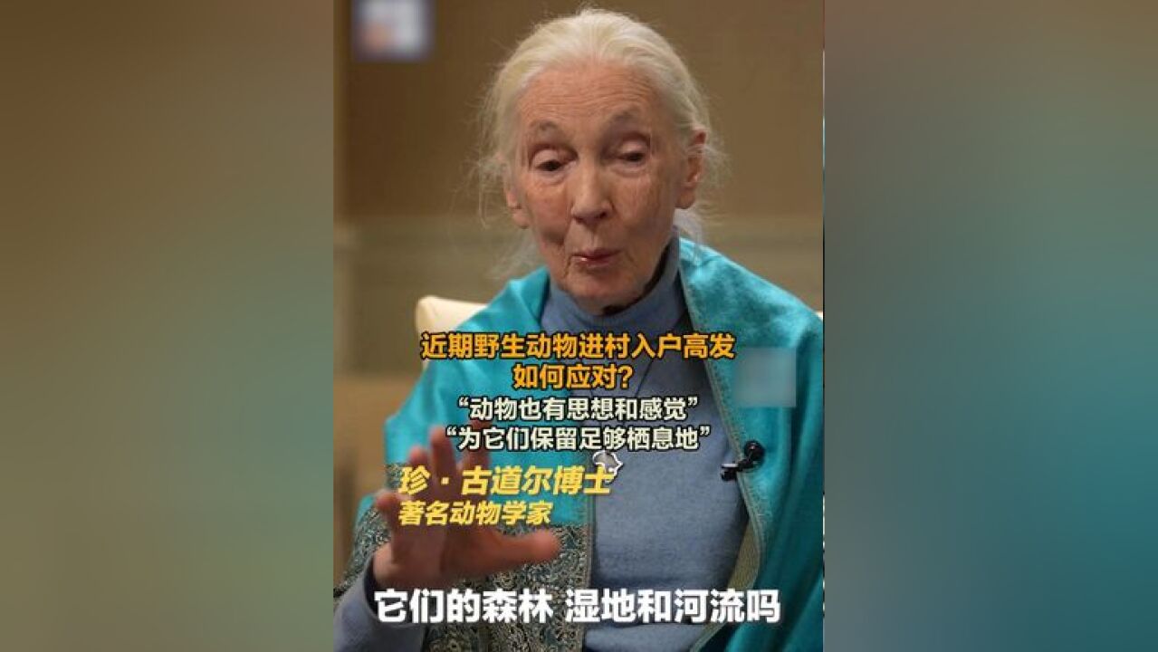 近期野生动物进村入户高发,如何应对?著名动物学家@珍ⷥ䩁“尔JaneGoodall :动物也有思想和感觉,要找出它们行为背...