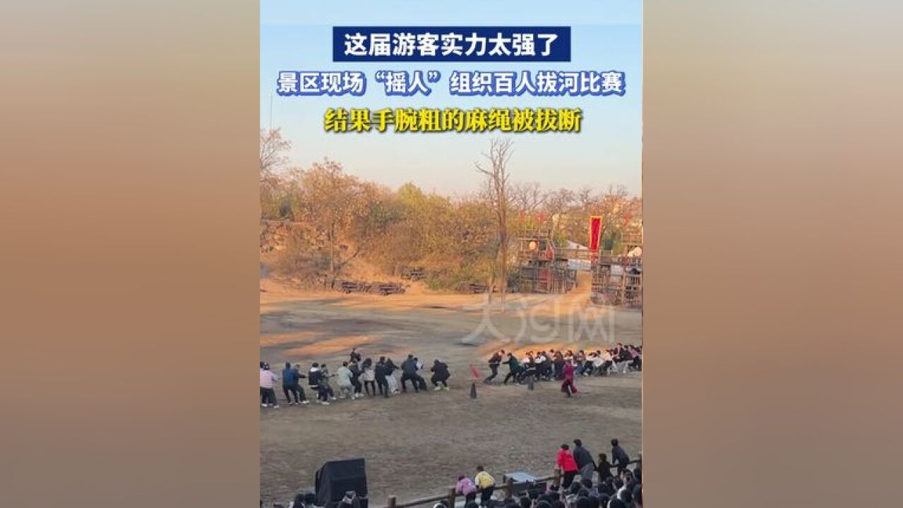 这届游客实力太强了!景区现场“摇人”组织百人拔河比赛,结果手腕粗的麻绳被拔断