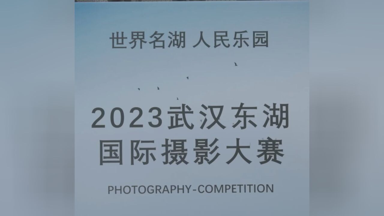 东湖国际摄影大赛“拍了拍”你,来东湖看生态