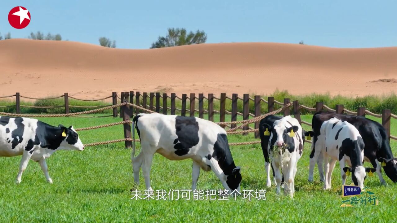 一路前行:致敬!治沙者用十年把沙漠变沃土