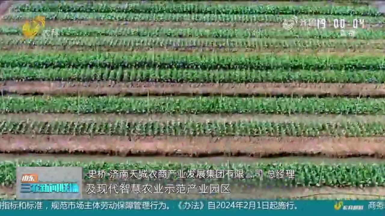 四方携手打造“北方数字植物工厂”,打通绿色通道,促进种业振兴